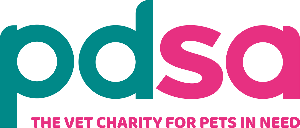 PDSA PDSA