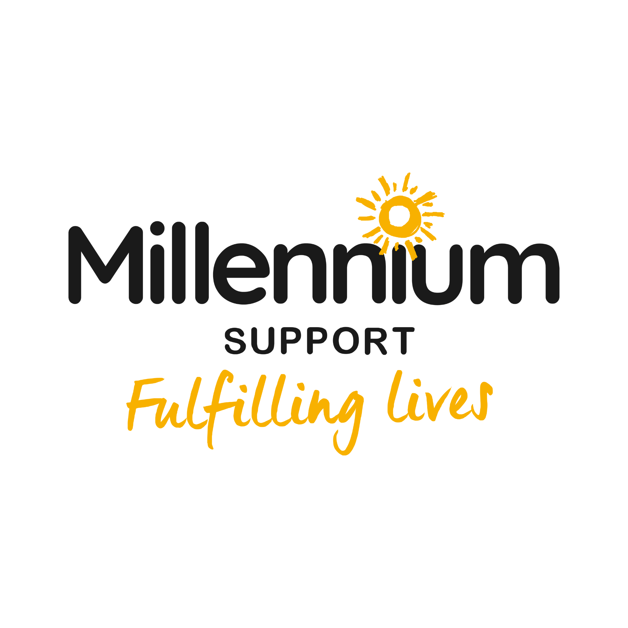 Millennium Support